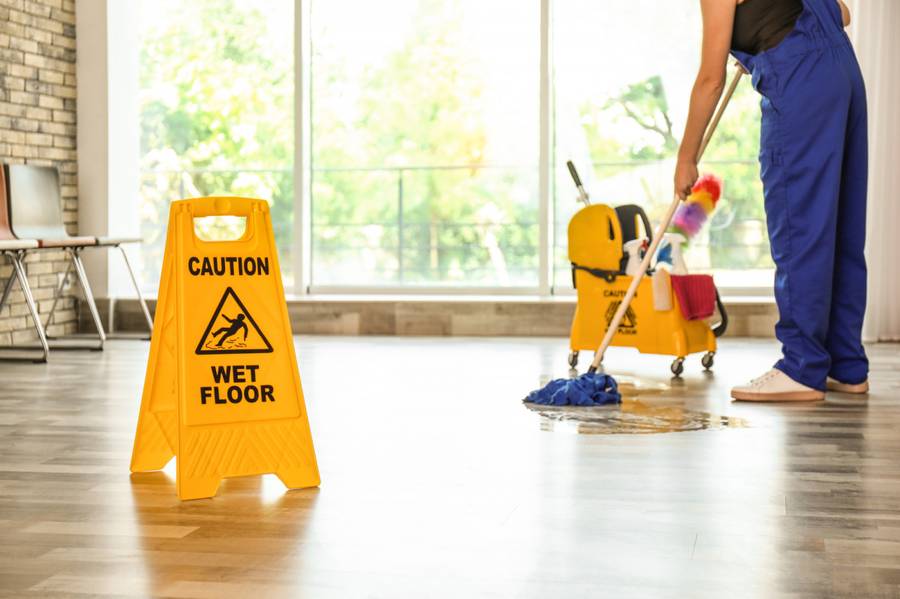 Professional cleaning service